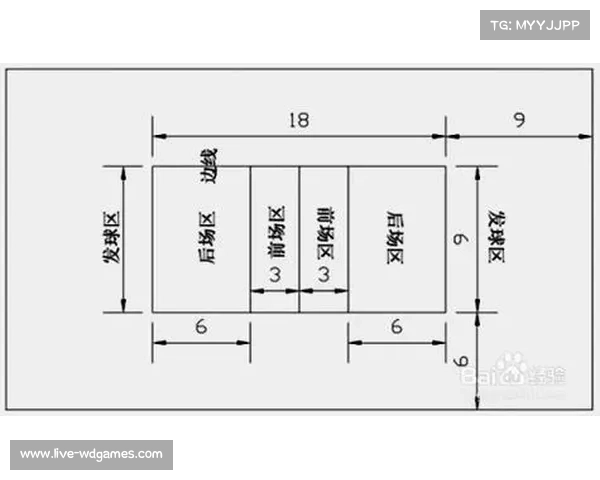 标准排球场尺寸与围网配置详解及最佳实践建议 标准排球场尺寸与围网配置详解及最佳实践建议